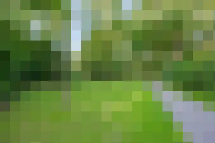 Anemoonzoom 6 Leiderdorp thumbnail 43