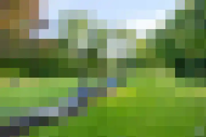 Anemoonzoom 6 Leiderdorp thumbnail 44