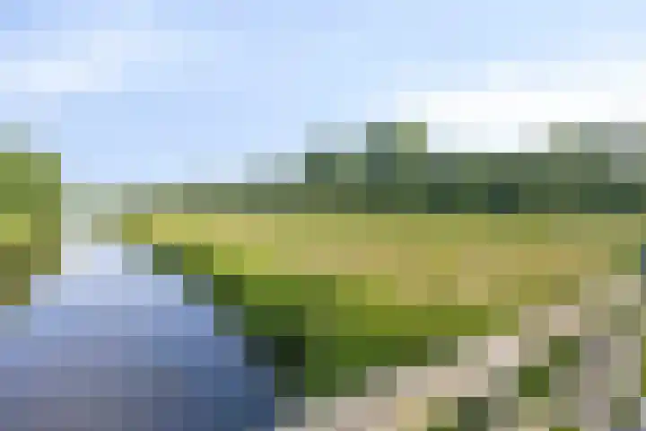 Anemoonzoom 6 Leiderdorp thumbnail 45