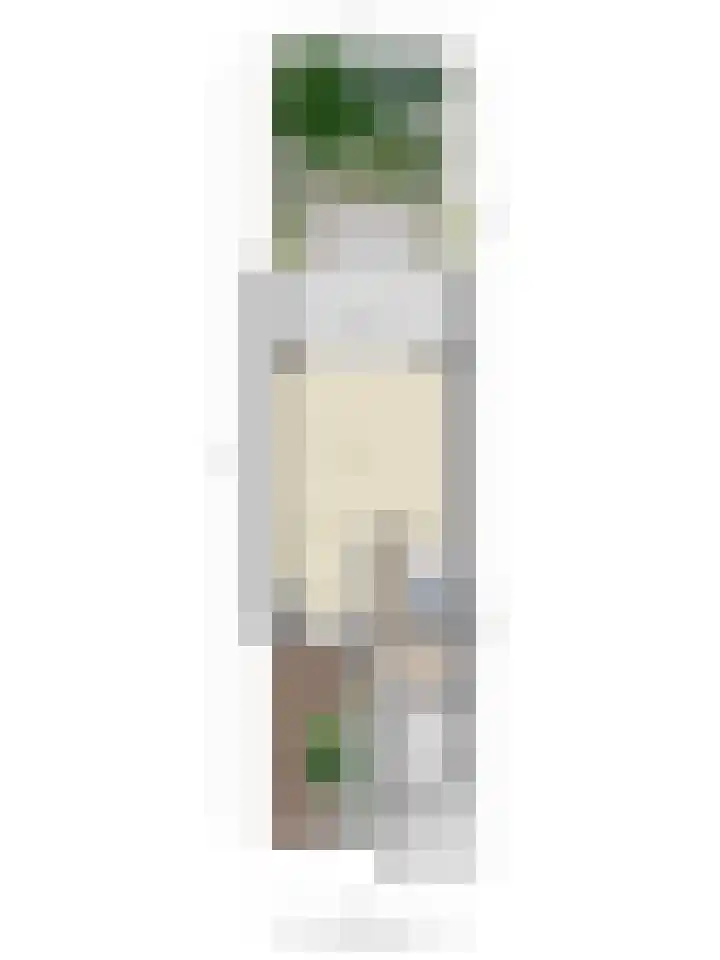 Anemoonzoom 6 Leiderdorp thumbnail 46