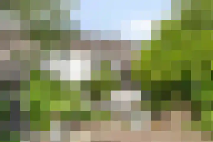 Anemoonzoom 6 Leiderdorp thumbnail 5