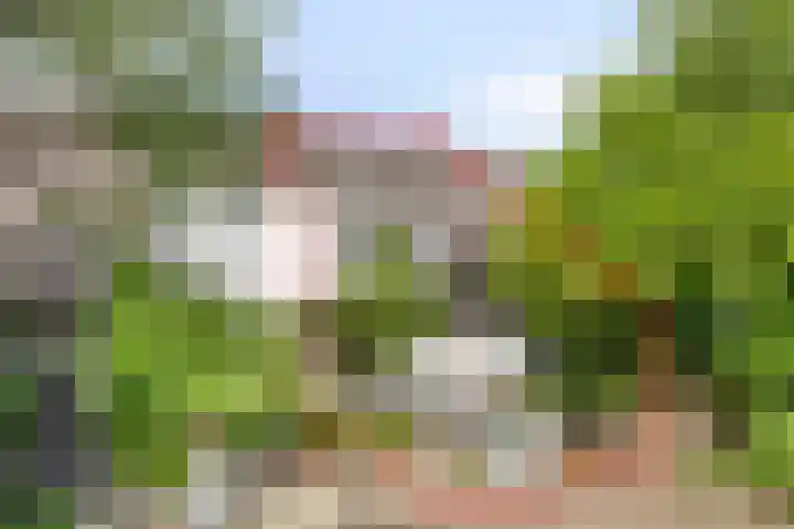 Anemoonzoom 6 Leiderdorp thumbnail 52