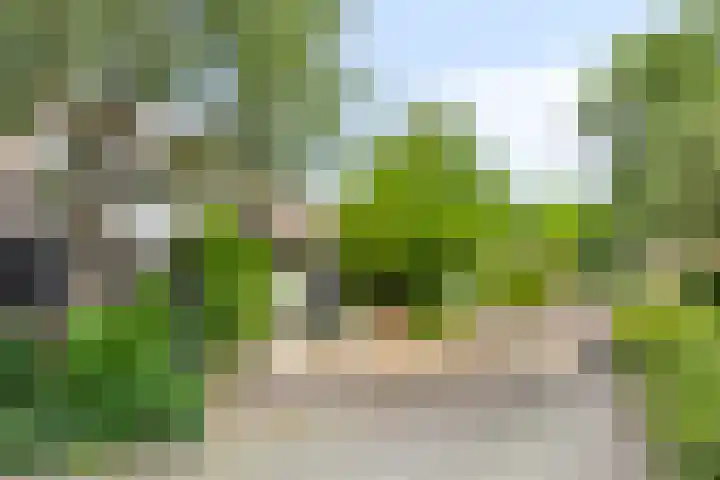 Anemoonzoom 6 Leiderdorp thumbnail 6