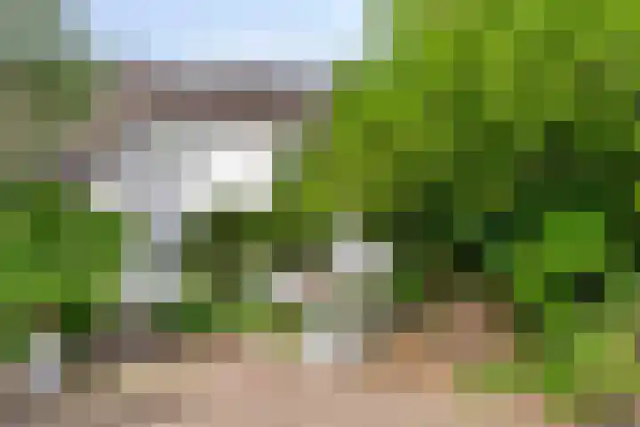 Anemoonzoom 6 Leiderdorp thumbnail 7