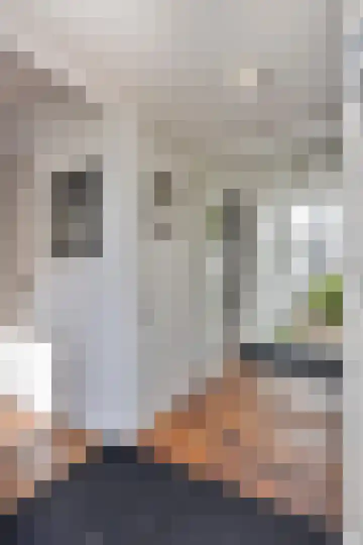 Anemoonzoom 6 Leiderdorp thumbnail 9
