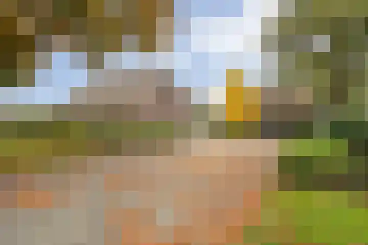 Anerveenseweg 11 Ane thumbnail 10
