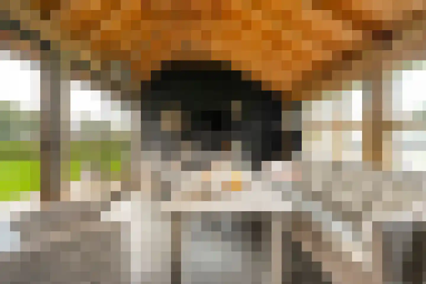 Anerveenseweg 11 Ane thumbnail 101