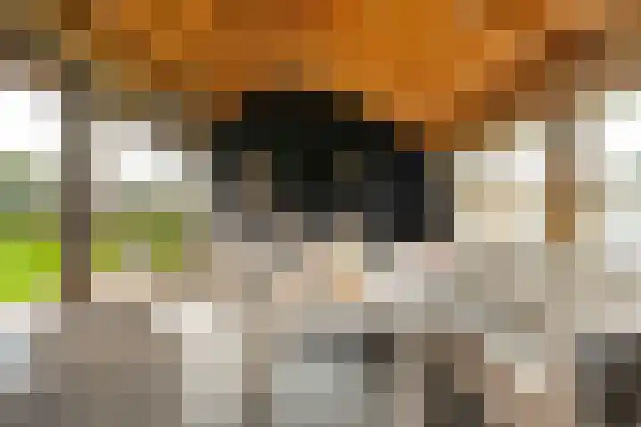 Anerveenseweg 11 Ane thumbnail 101