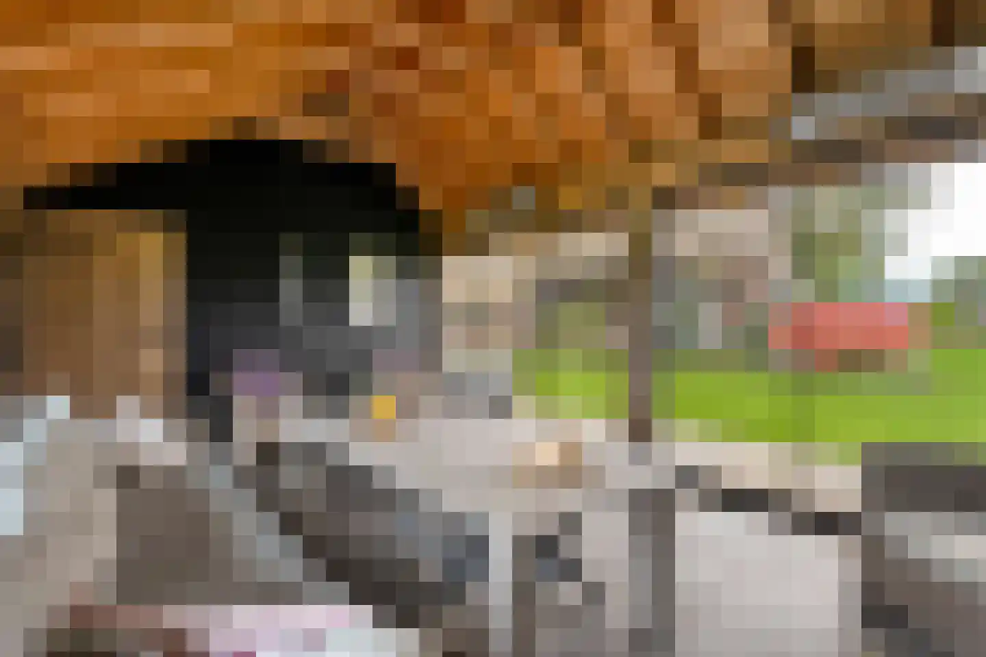 Anerveenseweg 11 Ane thumbnail 102