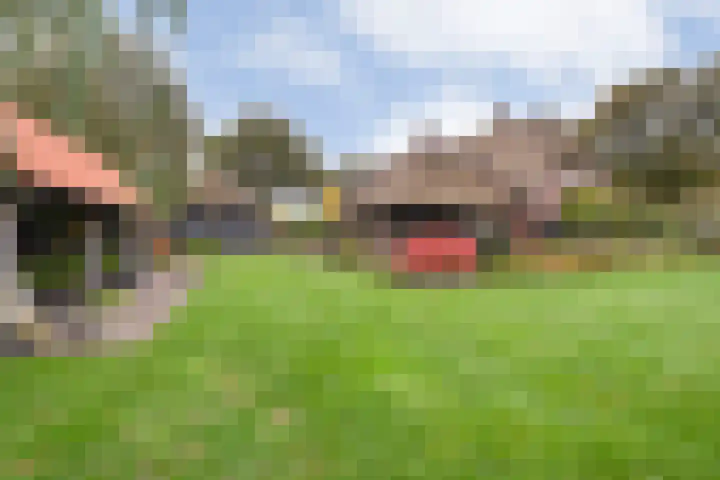 Anerveenseweg 11 Ane thumbnail 103