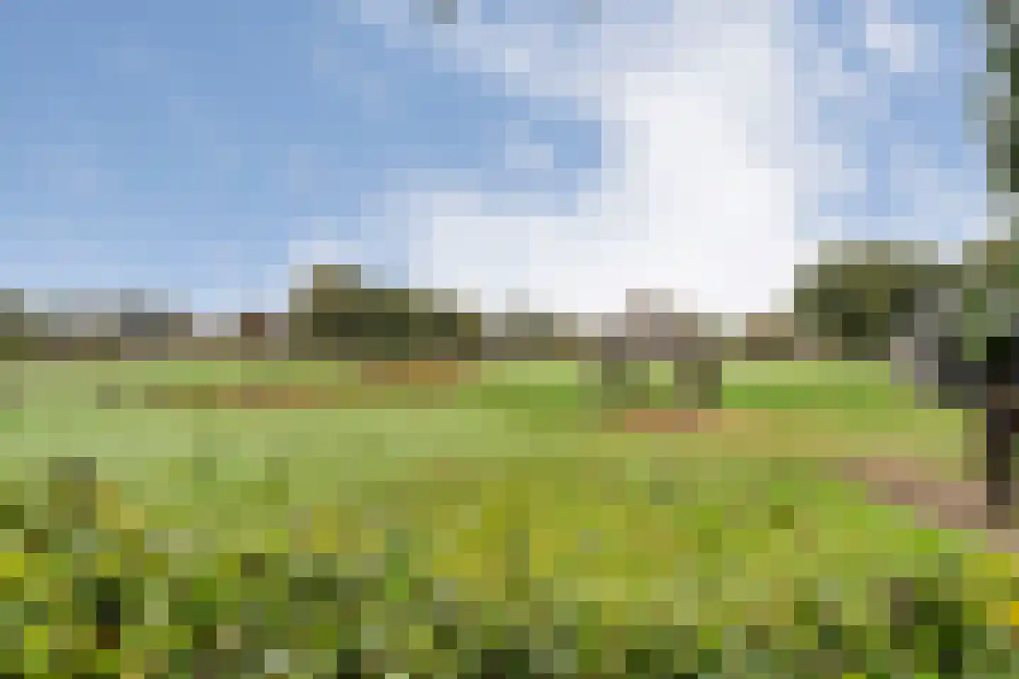 Anerveenseweg 11 Ane thumbnail 104