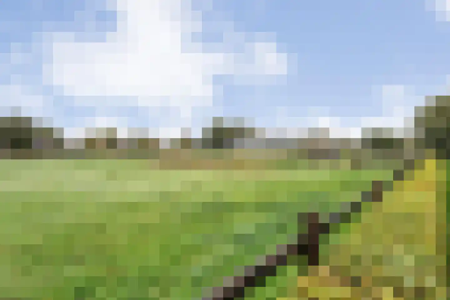 Anerveenseweg 11 Ane thumbnail 107