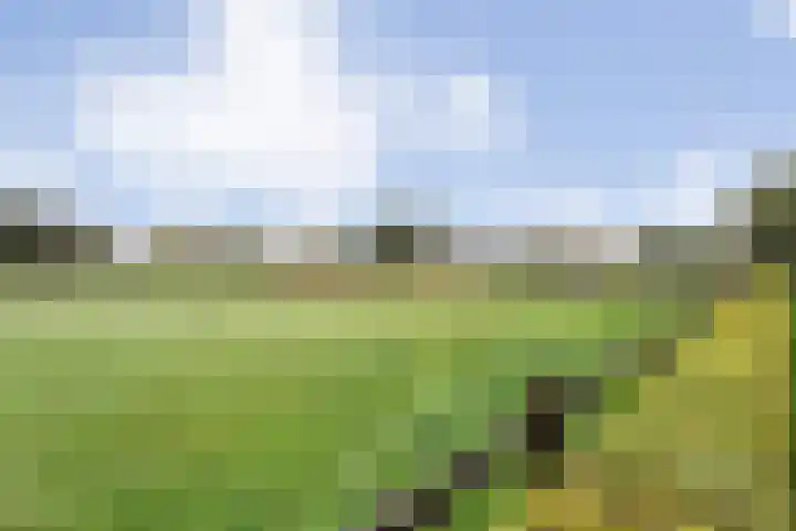 Anerveenseweg 11 Ane thumbnail 107