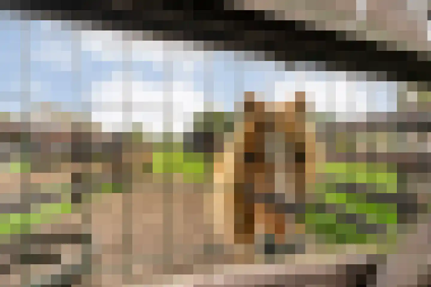 Anerveenseweg 11 Ane thumbnail 108
