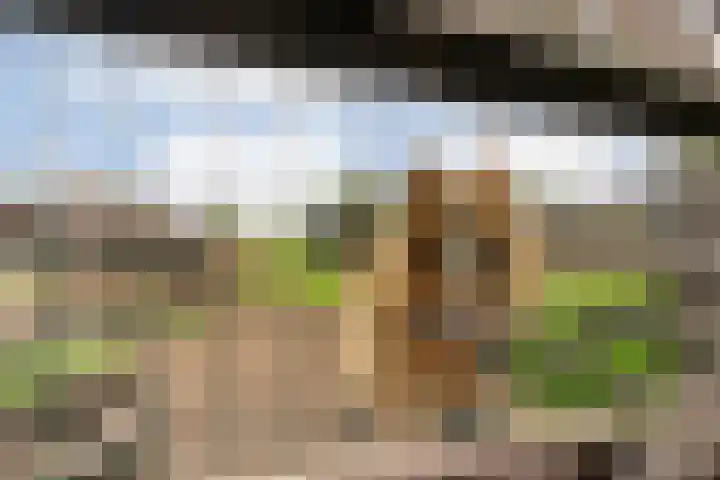 Anerveenseweg 11 Ane thumbnail 108