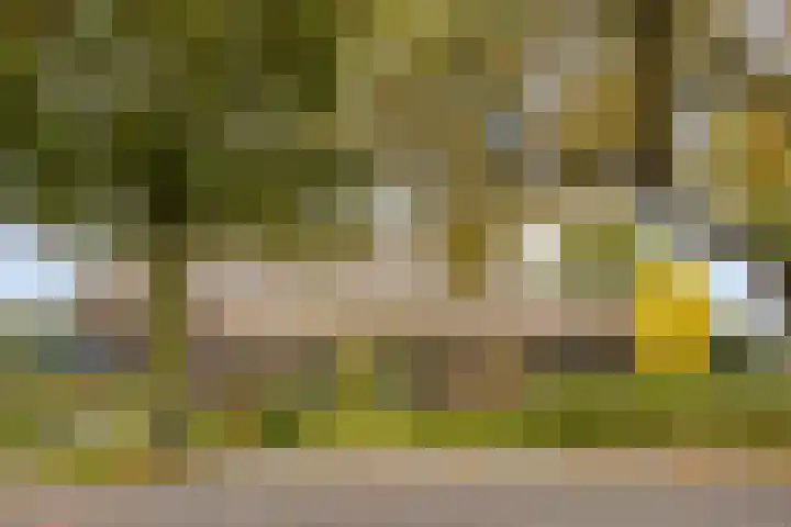 Anerveenseweg 11 Ane thumbnail 11