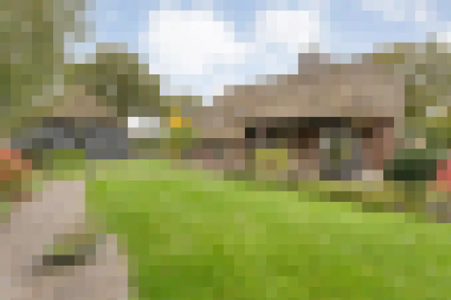 Anerveenseweg 11 Ane thumbnail 110