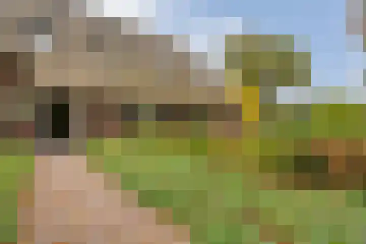 Anerveenseweg 11 Ane thumbnail 13