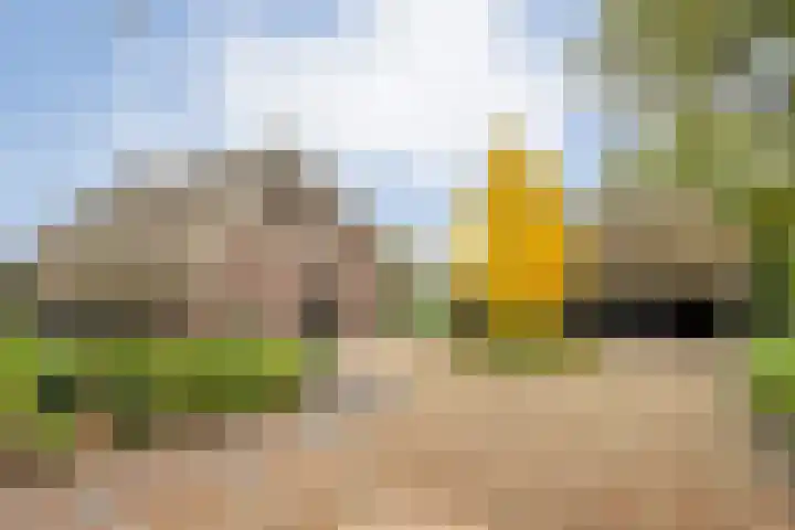 Anerveenseweg 11 Ane thumbnail 14