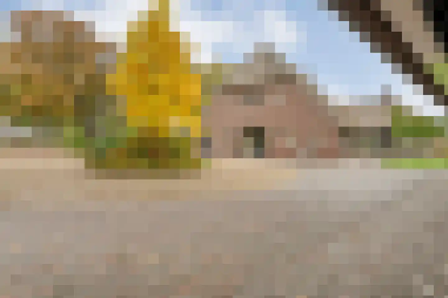 Anerveenseweg 11 Ane thumbnail 16