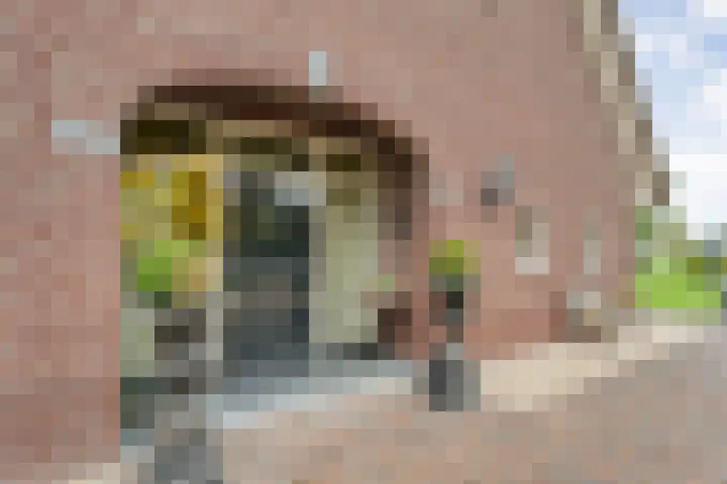 Anerveenseweg 11 Ane thumbnail 18