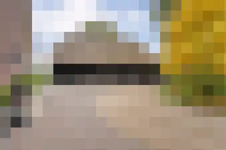 Anerveenseweg 11 Ane thumbnail 19