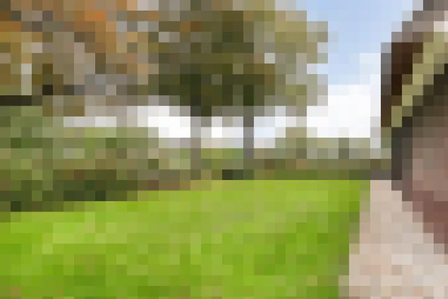 Anerveenseweg 11 Ane thumbnail 20