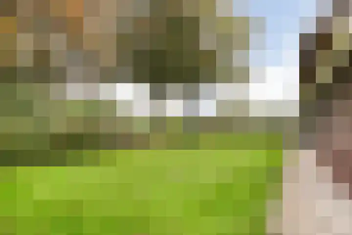 Anerveenseweg 11 Ane thumbnail 20
