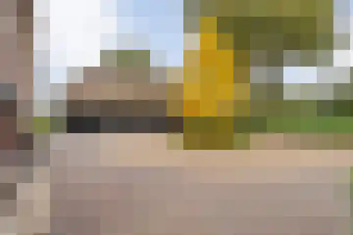 Anerveenseweg 11 Ane thumbnail 21