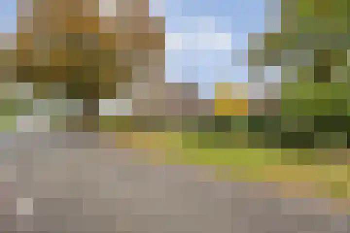 Anerveenseweg 11 Ane thumbnail 22