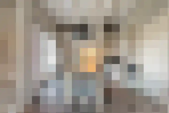 Anerveenseweg 11 Ane thumbnail 43