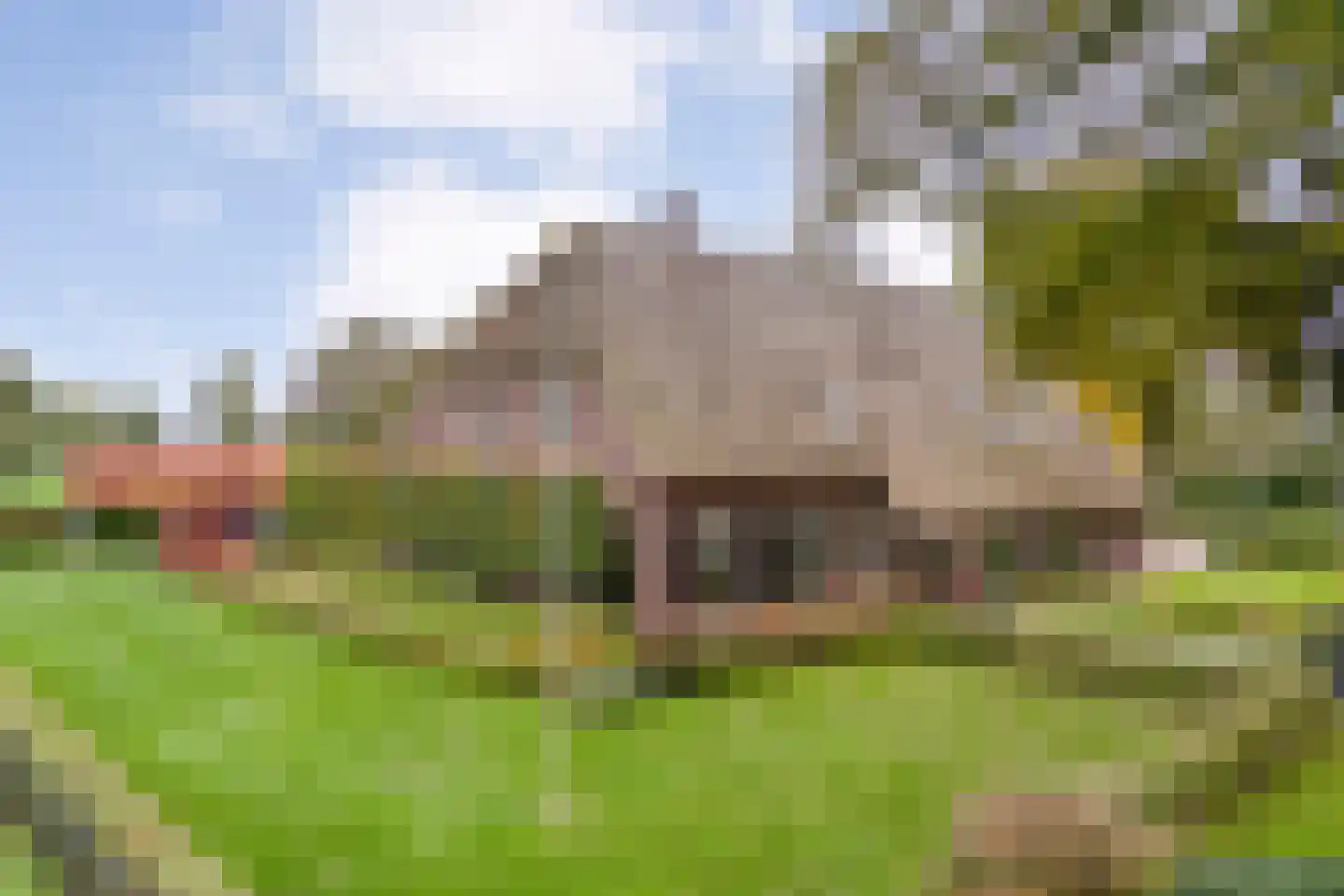 Anerveenseweg 11 Ane thumbnail 5