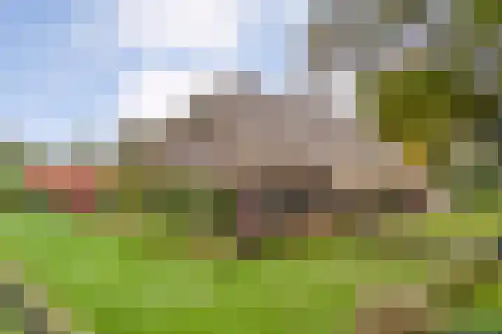 Anerveenseweg 11 Ane thumbnail 5