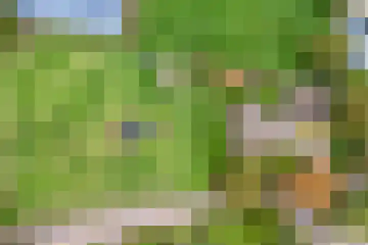 Anerveenseweg 11 Ane thumbnail 6
