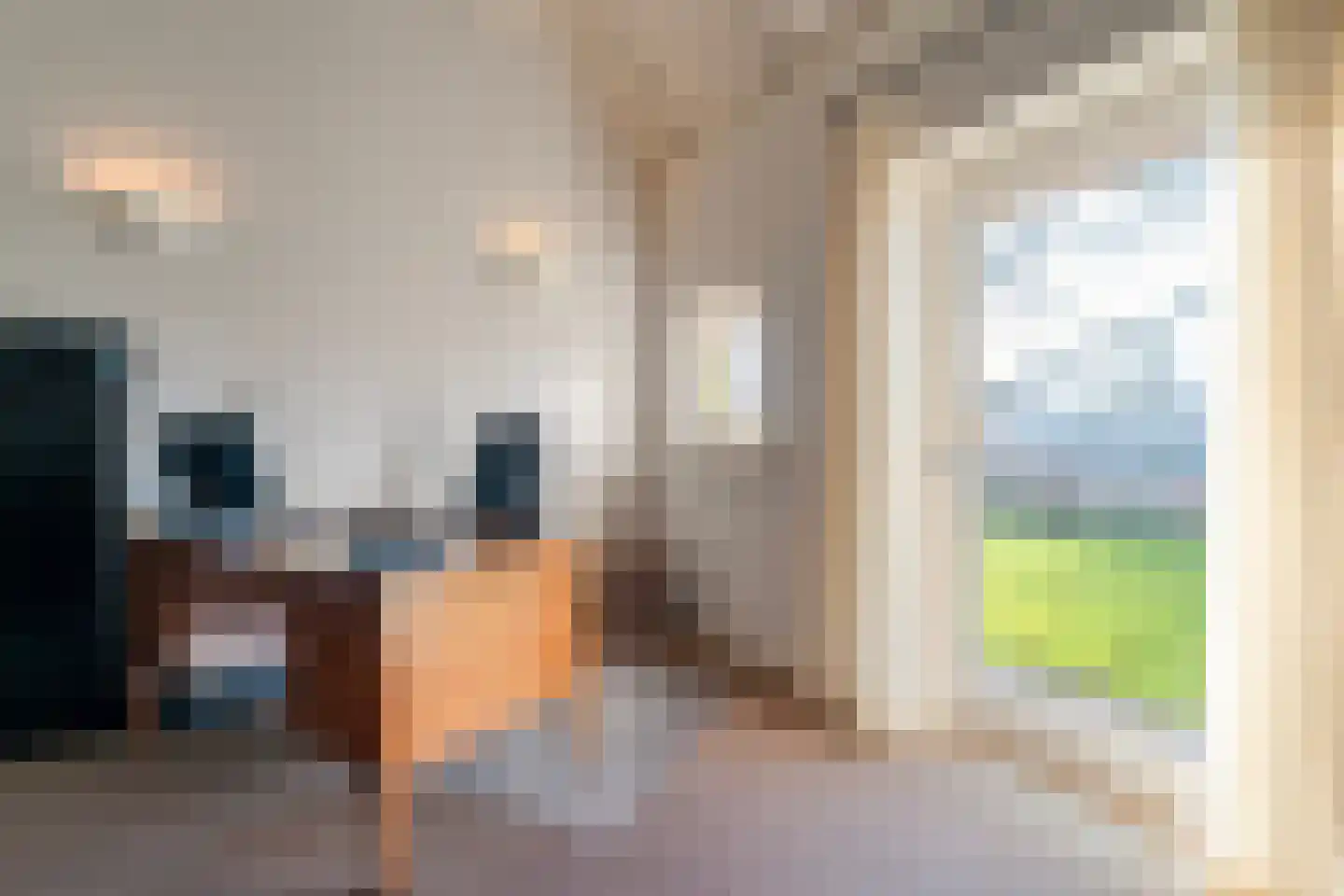 Anerveenseweg 11 Ane thumbnail 69