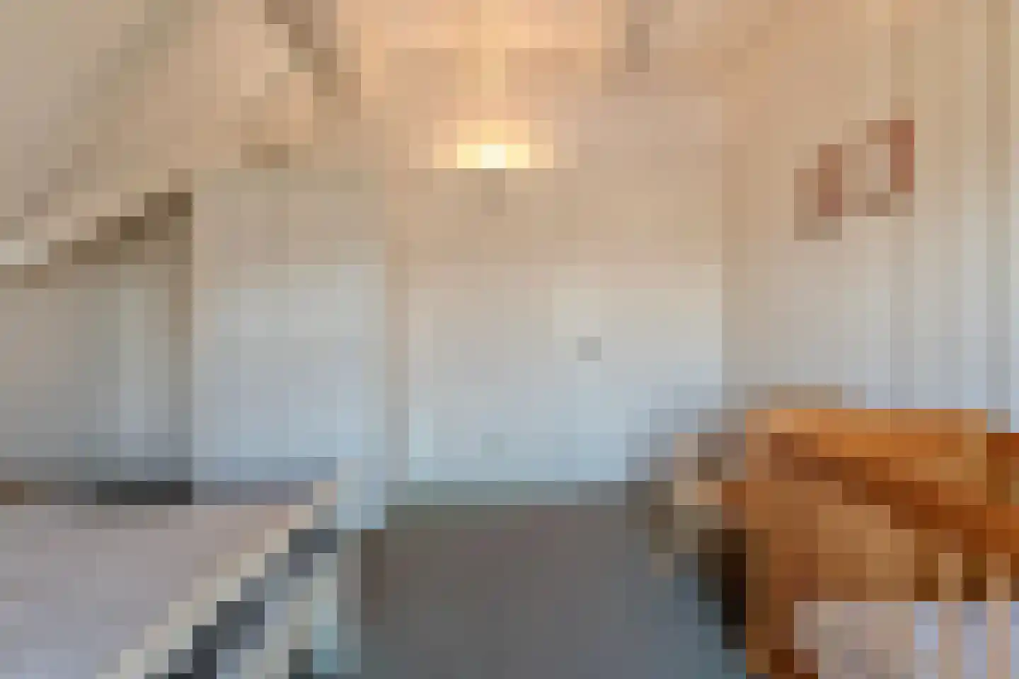 Anerveenseweg 11 Ane thumbnail 78