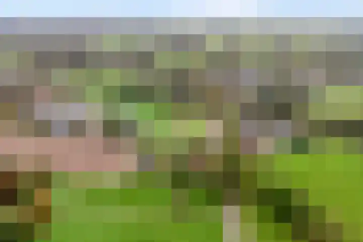 Anerveenseweg 11 Ane thumbnail 8