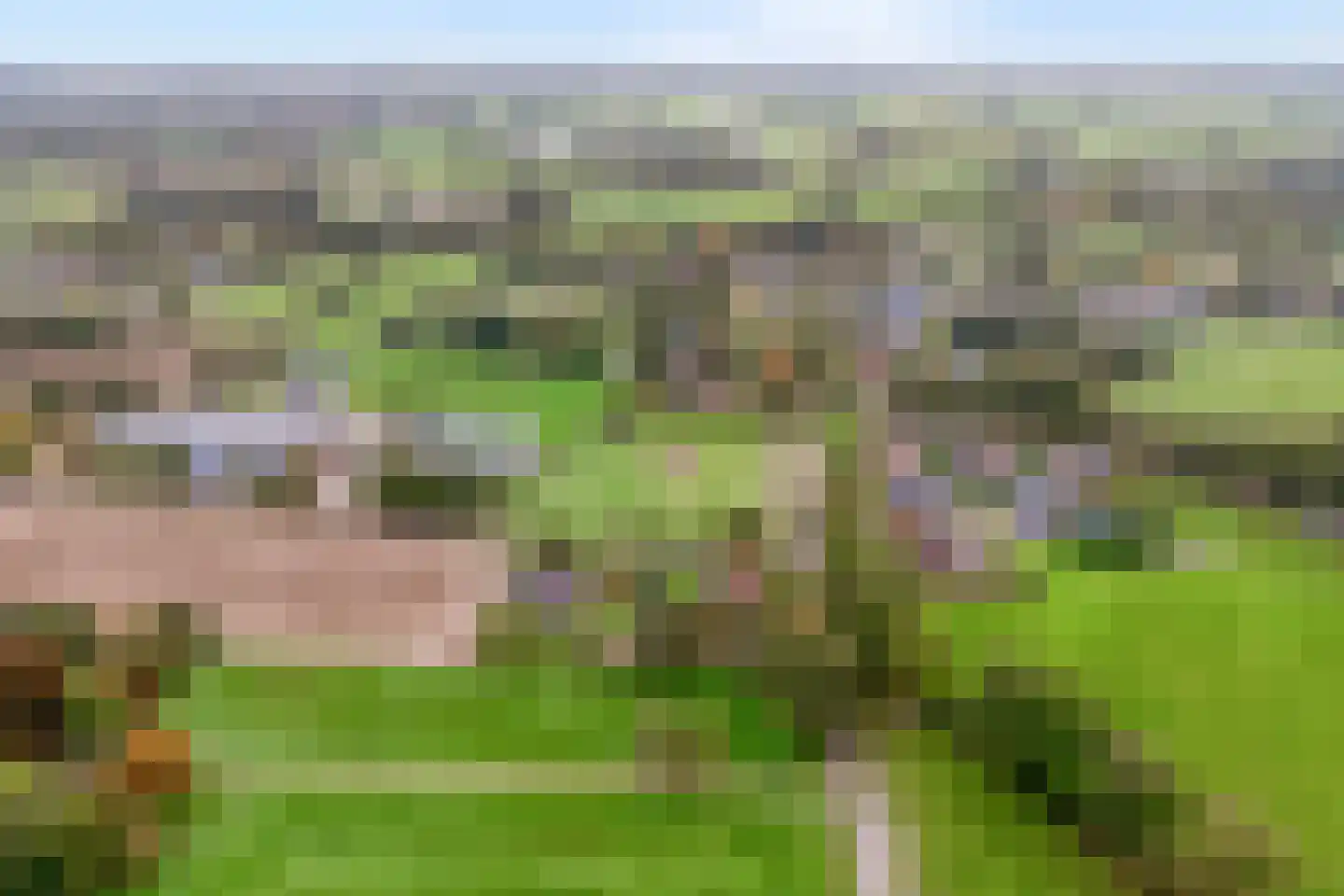 Anerveenseweg 11 Ane thumbnail 8