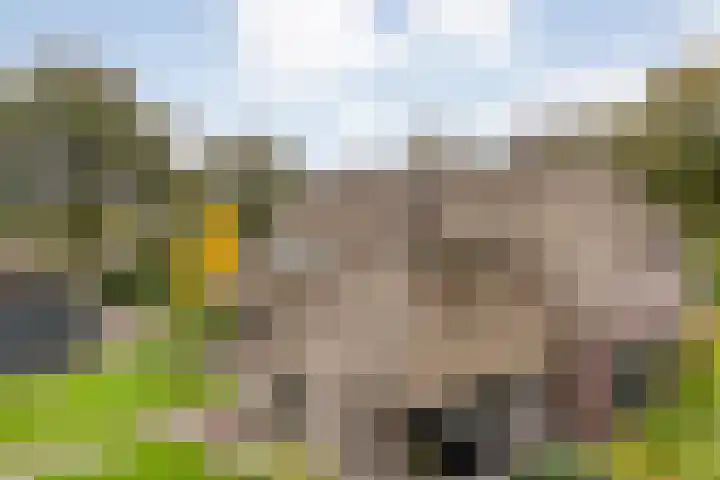 Anerveenseweg 11 Ane thumbnail 9