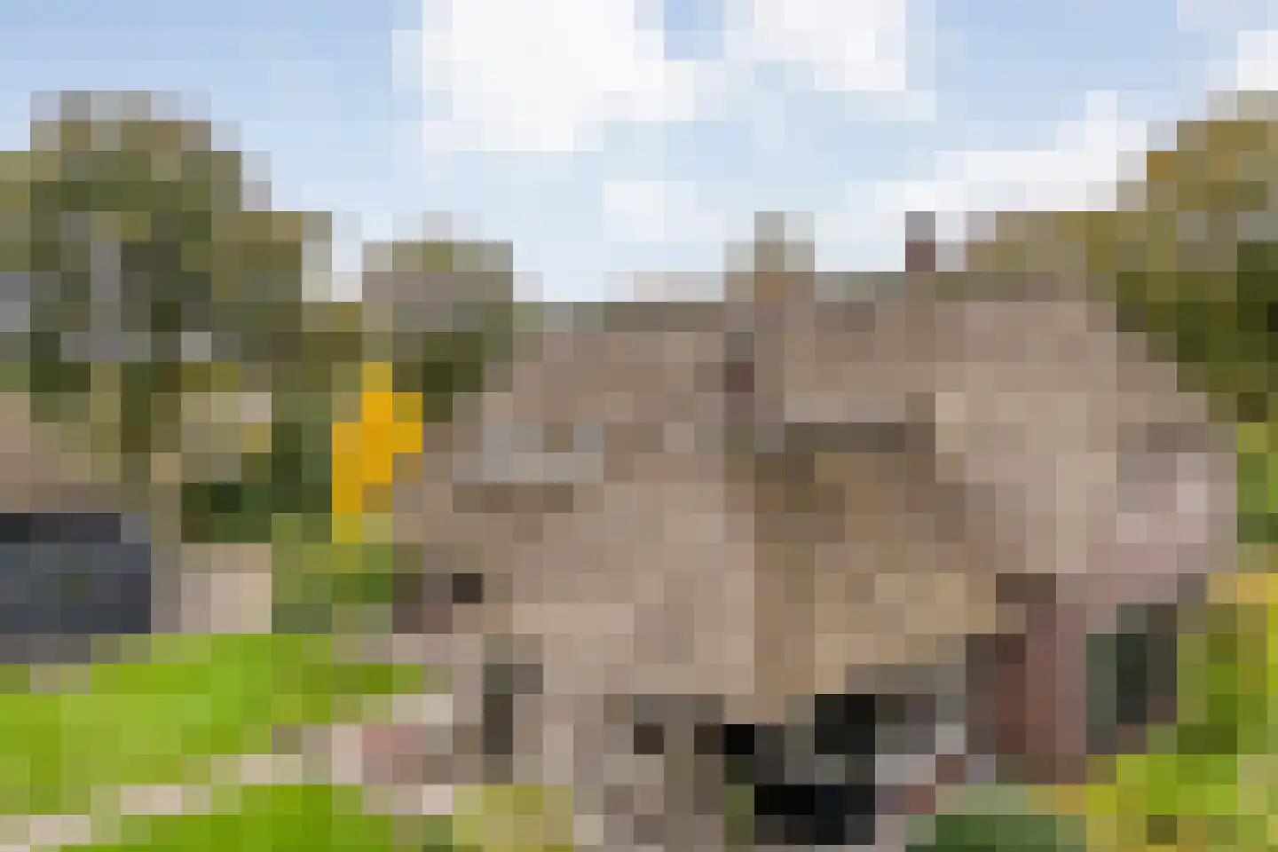 Anerveenseweg 11 Ane thumbnail 9