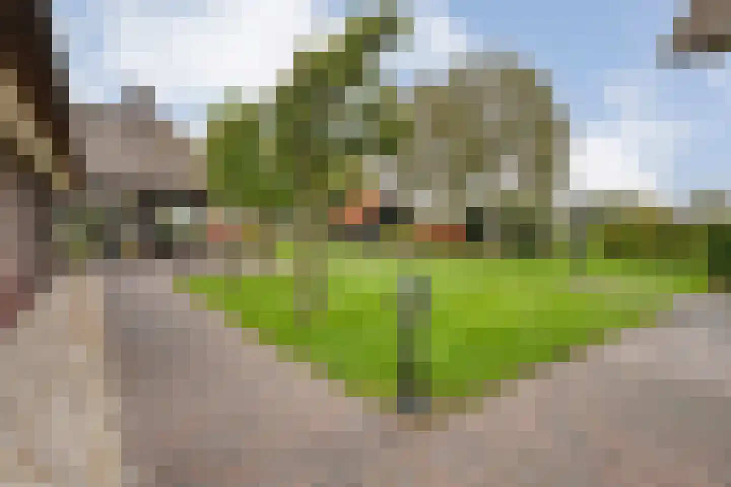Anerveenseweg 11 Ane thumbnail 94