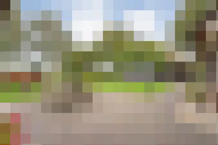Anerveenseweg 11 Ane thumbnail 95