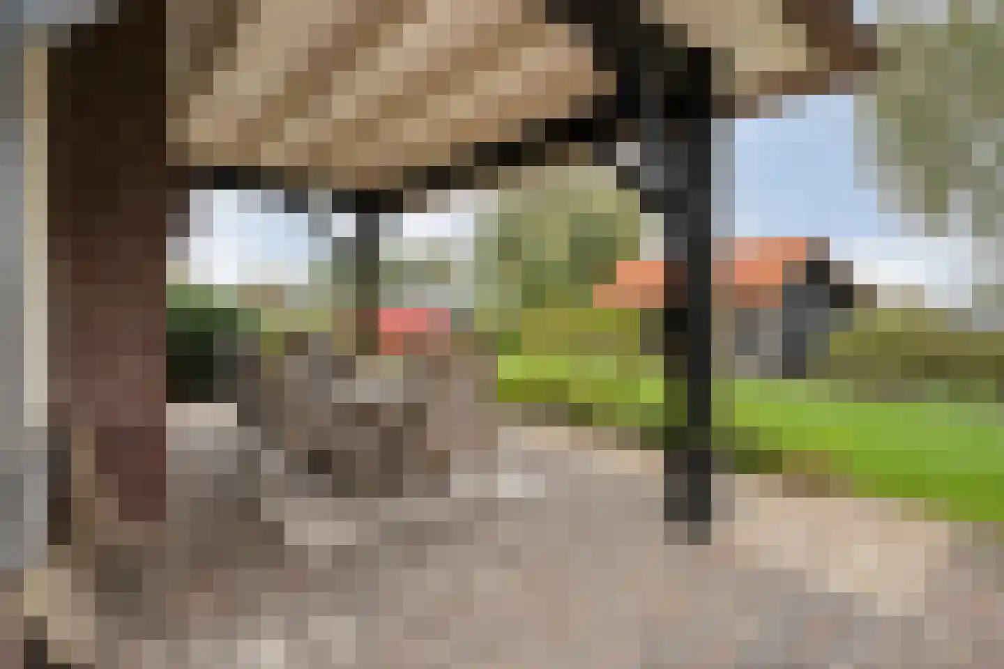 Anerveenseweg 11 Ane thumbnail 96