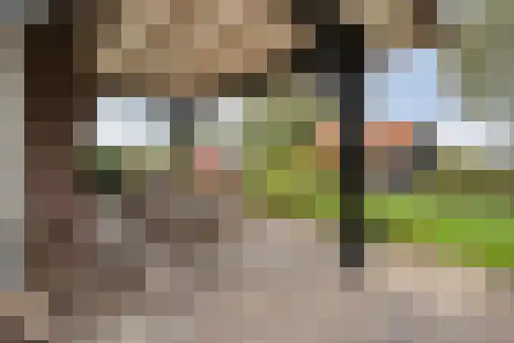 Anerveenseweg 11 Ane thumbnail 96