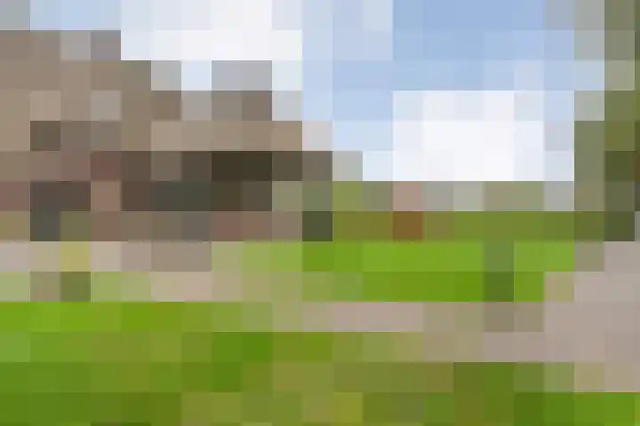 Anerveenseweg 11 Ane thumbnail 98