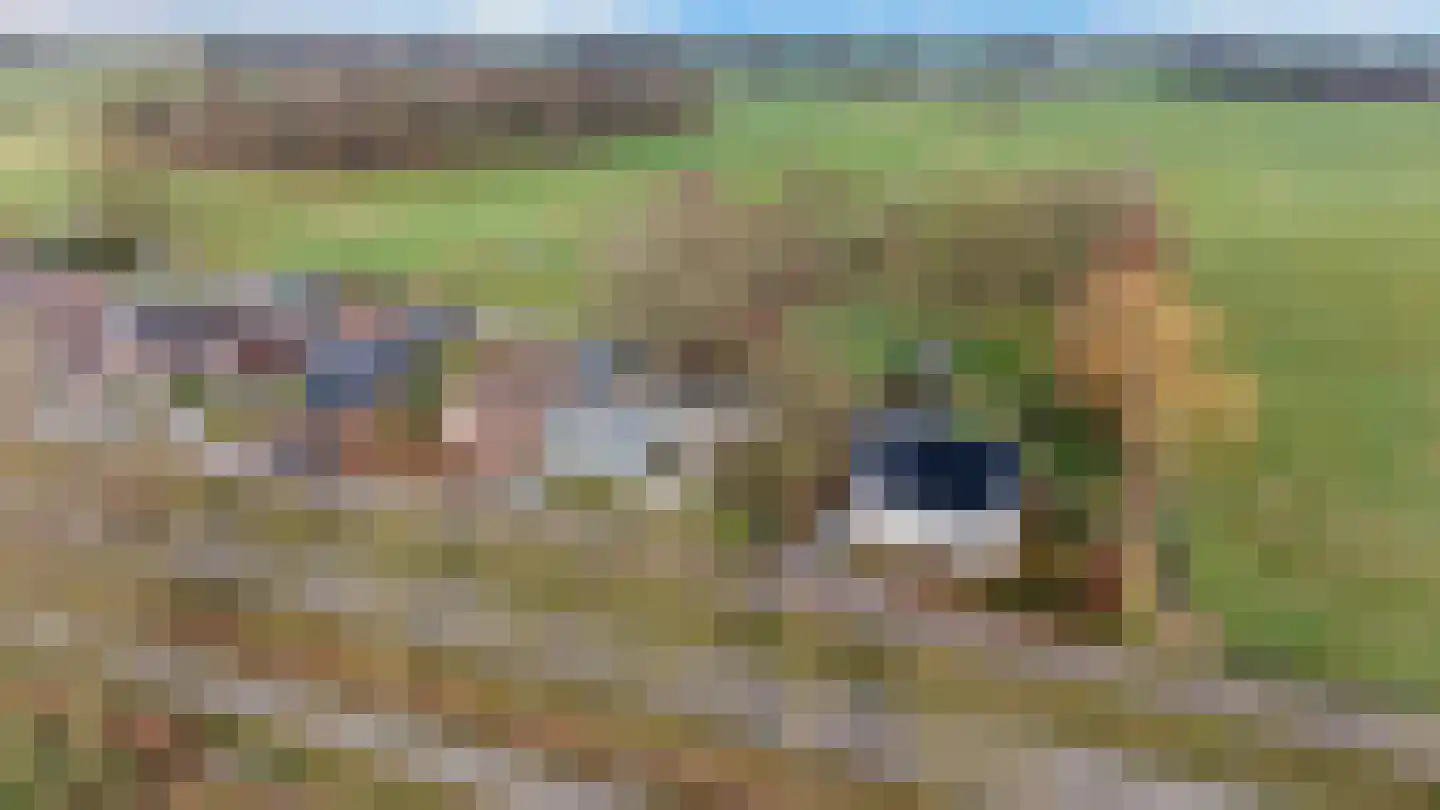 Anerweg-Noord 126 Lutten thumbnail 4