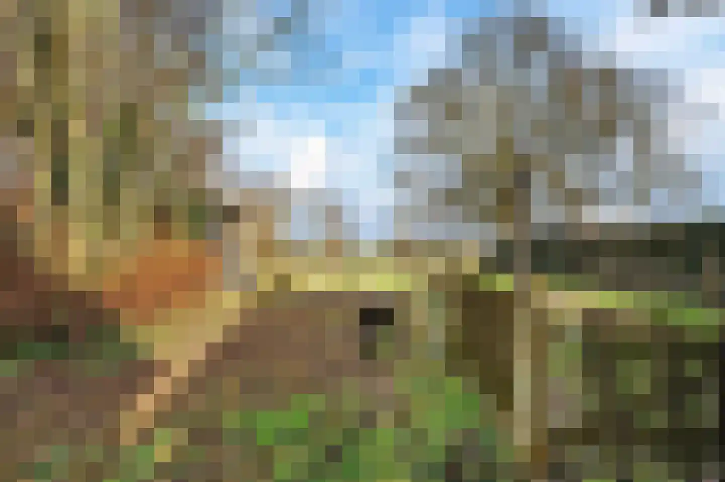 Anerweg-Noord 126 Lutten thumbnail 41