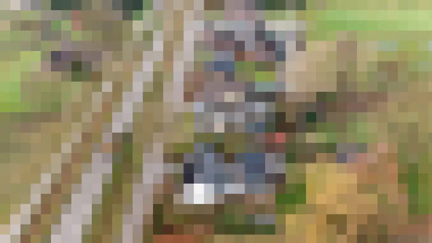 Anerweg-Noord 126 Lutten thumbnail 5