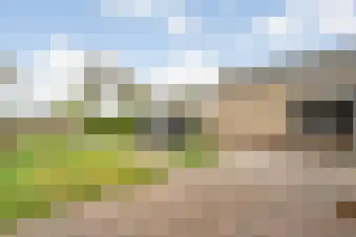 Anerweg-Noord 134 a Lutten thumbnail 27