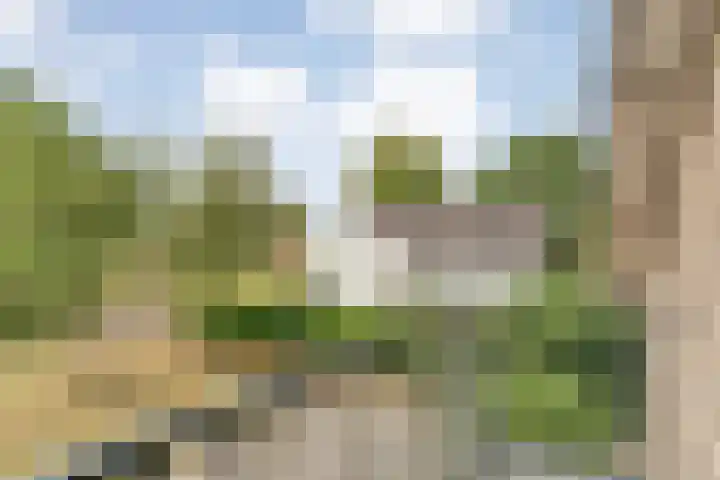 Anerweg-Noord 134 Lutten thumbnail 39